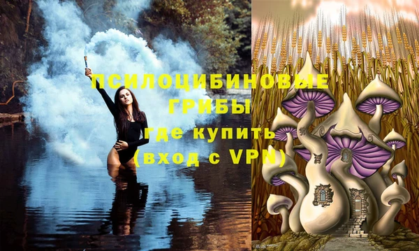 прущие крисы Абдулино