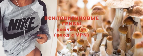 прущие крисы Абдулино
