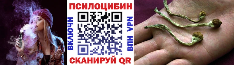 Псилоцибиновые грибы Cubensis  Алдан 